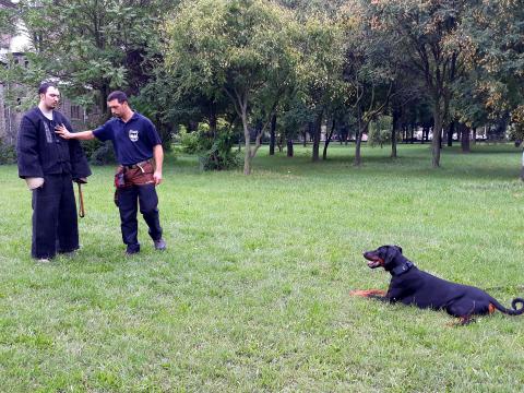 dogs for personal and family protection knpv police and protection dogs k9