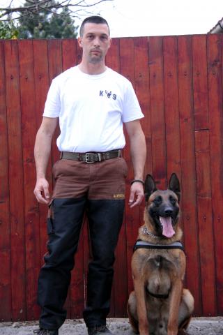 dogs for personal and family protection knpv police and protection dogs k9